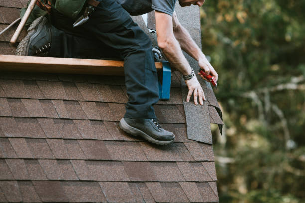 Quick and Trustworthy Emergency Roof Repair Services in Carrboro, NC